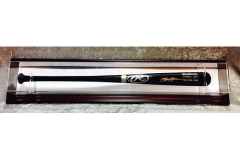 c6e957_ded919528ce24c8c99517ba32c663a32